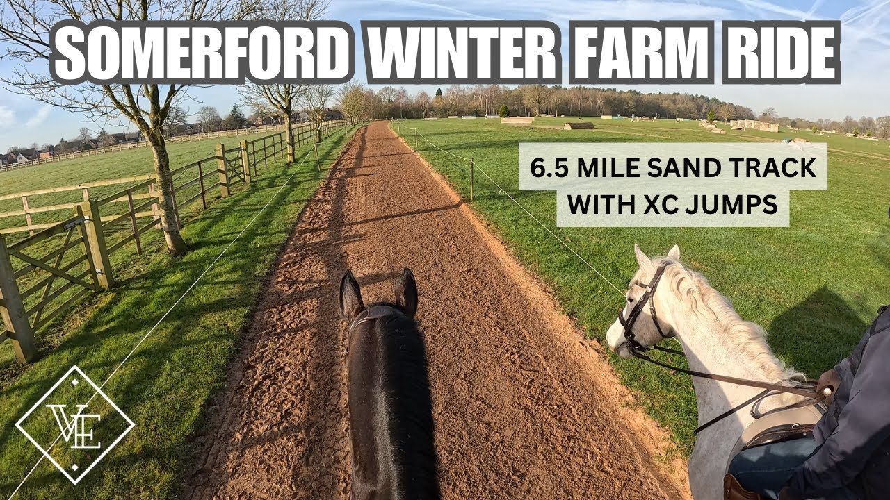 WINTER FARM RIDE | SOMERFORD | His most confident XC outing yet | GoPro POV