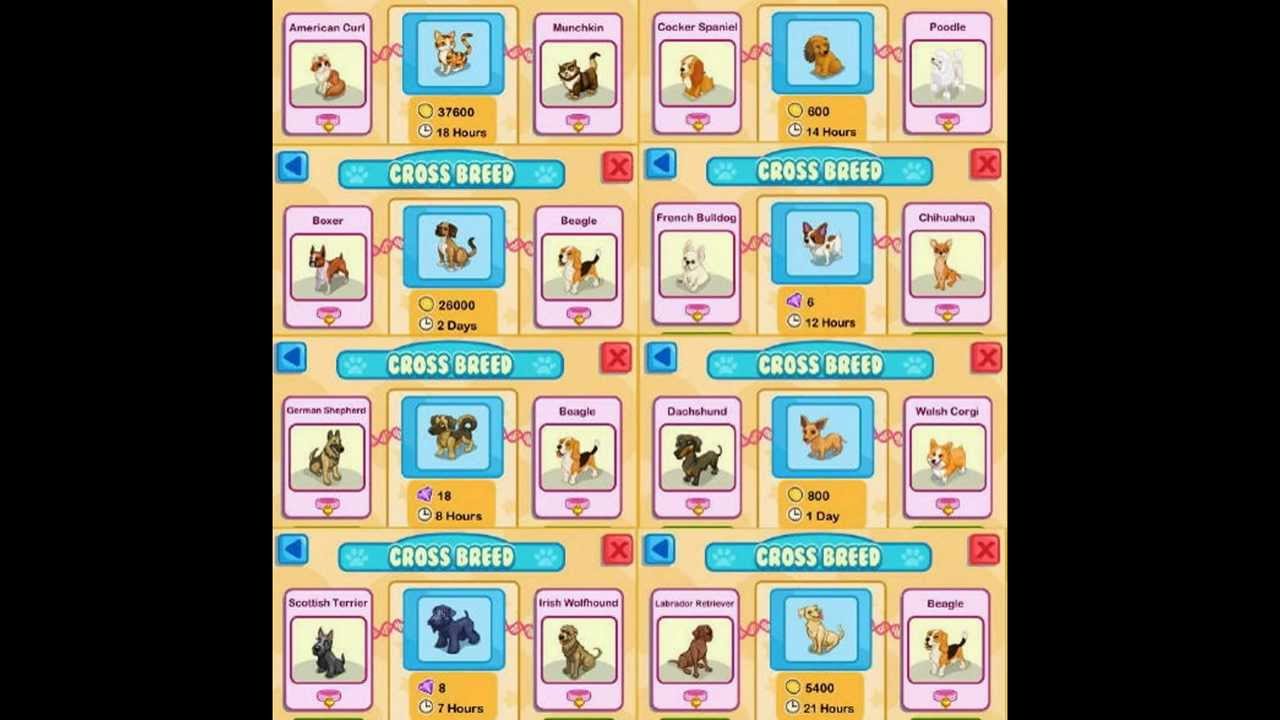pet shop story crossbreed  help answers