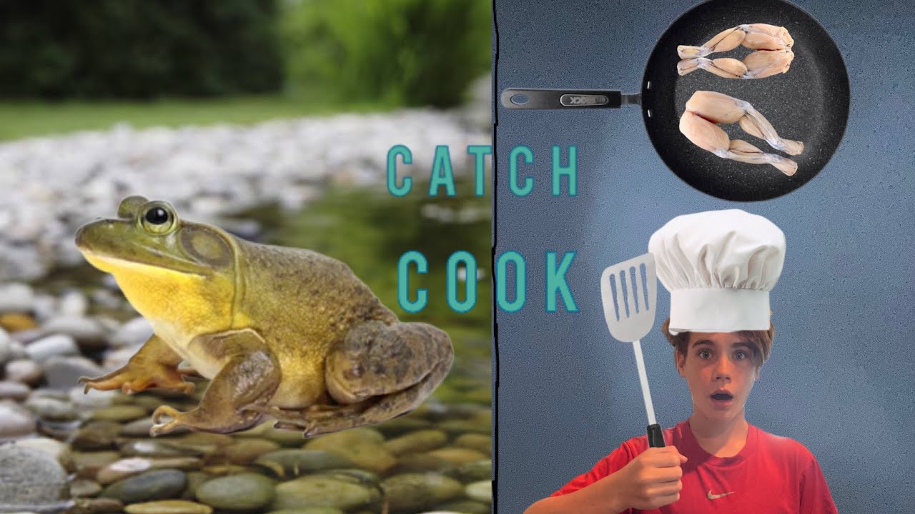 Frog Catch and Cook!