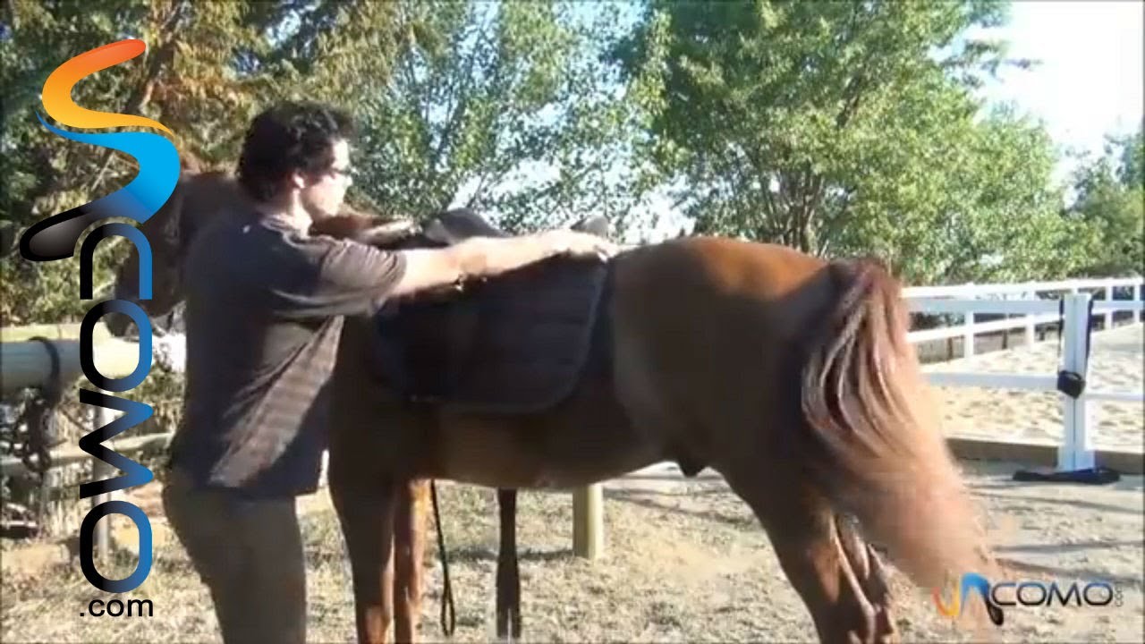 Desensillar el caballo fuera de la cuadra