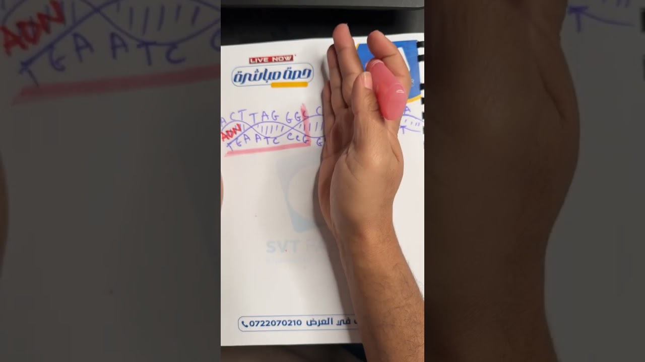 L' expression de l'information génétique ألية تعبير الخبر الوراثي ✨bac 2026