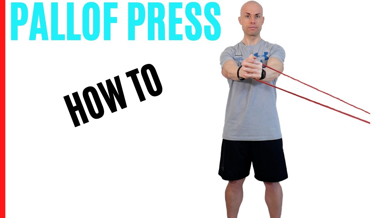 PALLOF PRESS - Ausführung und Anatomie