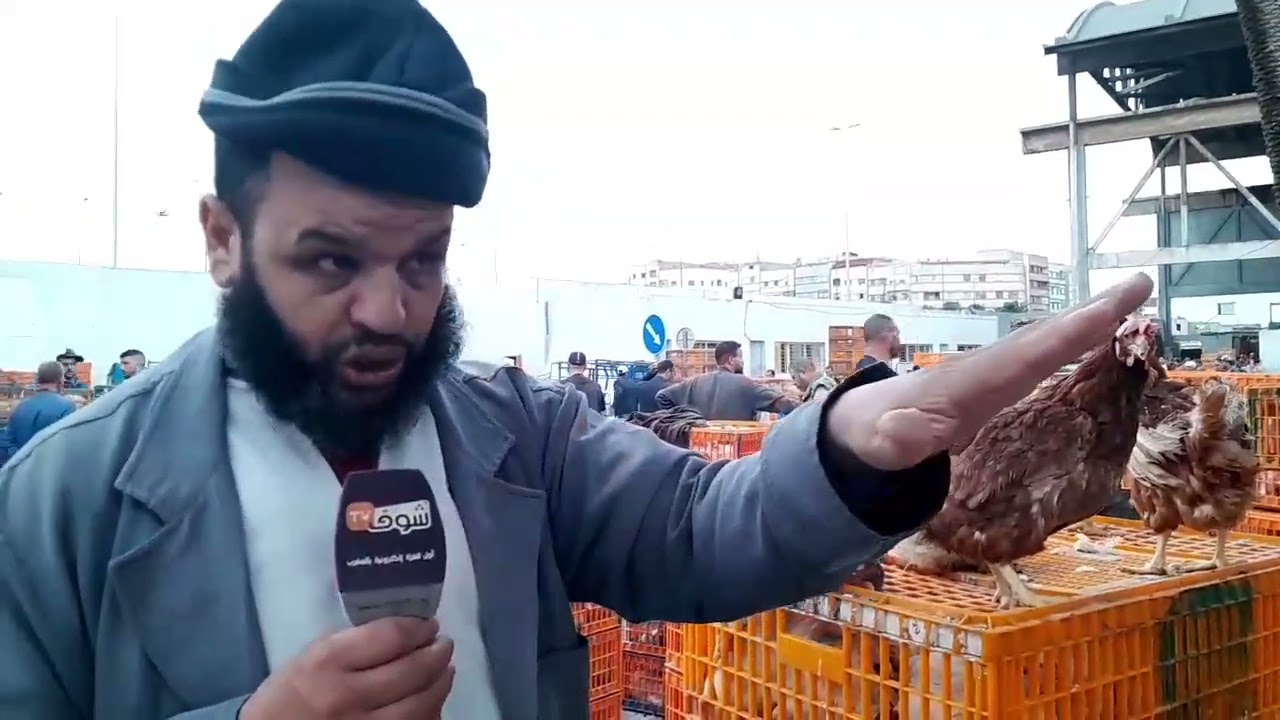 مباشرة من قلب سوق الدواجن بالجملة بالدارالبيضاء....الدجاج الرومي غادي وكاينقص فالثمن...