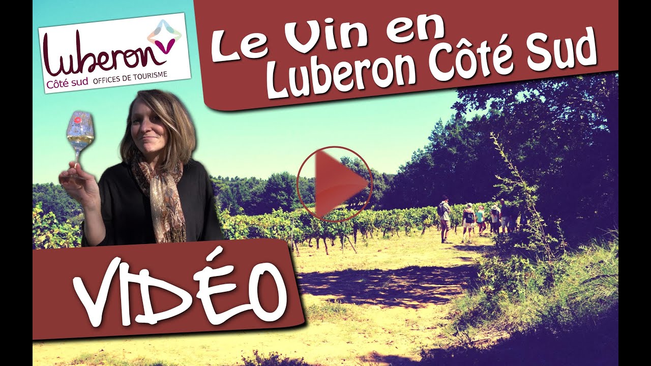 Le vin en Luberon Côté Sud