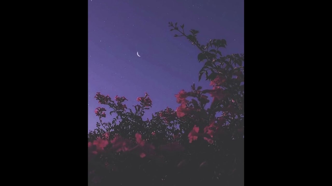 [Free For Non-Profit] 'SeNSU4l' Romantic Regetton x Trap Beat