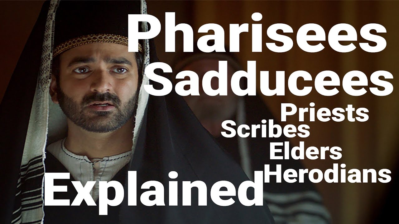 PHARISEES, SADDUCEES, Priests, Scribes, Elders, Herodians EXPLAINED