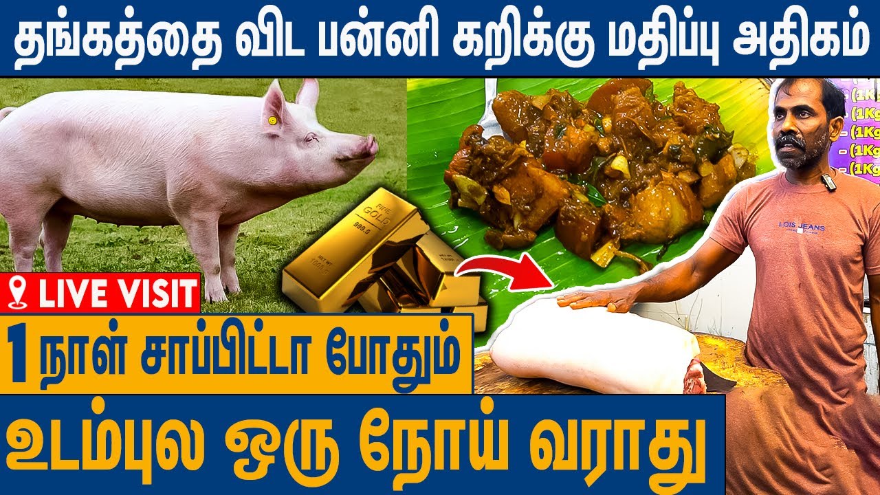 வெள்ளை பன்றி கறி சாப்பிட்டால் இவ்ளோ நல்லதா ? : Benefits of Pork Meat Tamil | White Pig Meat Shop