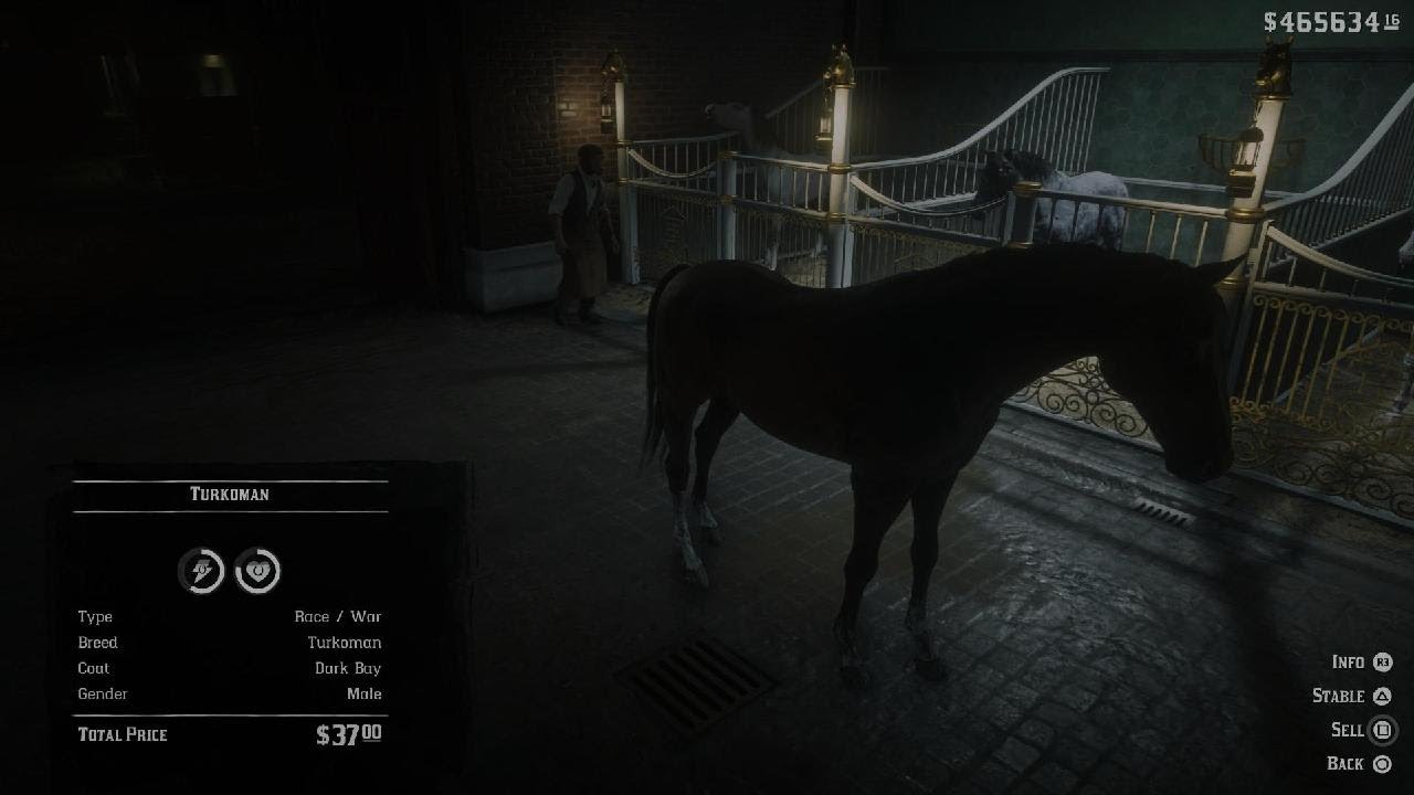 Red Dead Redemption 2 - Found rarely male horse turkoman dark bay early in chapter 2