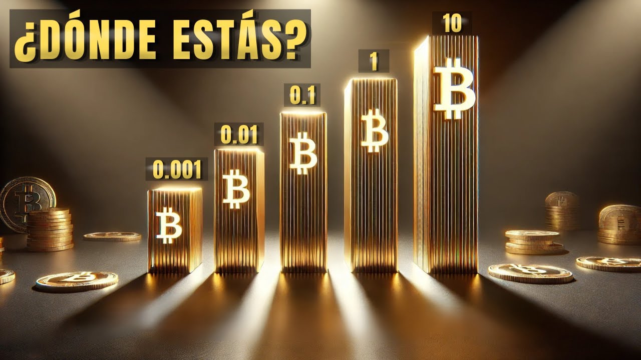 De 0,01 a m&aacute;s de 10 Bitcoins | 5 niveles de riqueza en Bitcoin en 2025