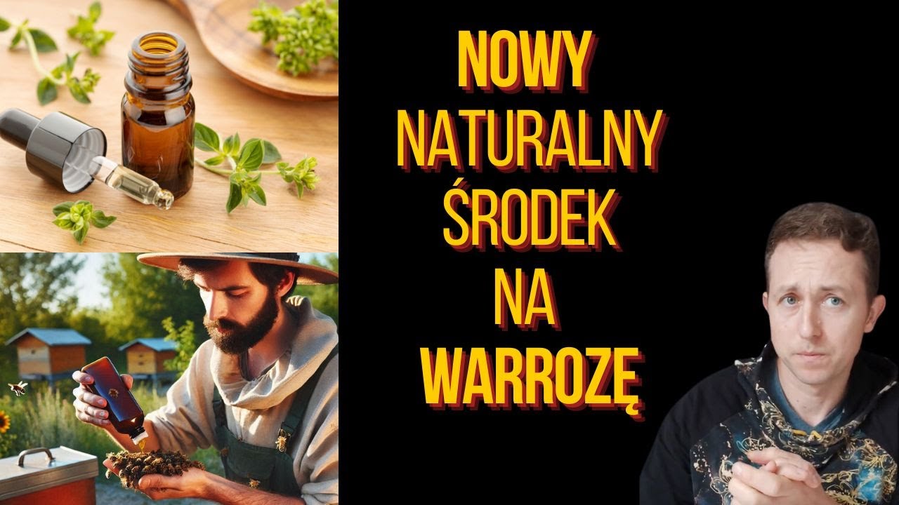 Naturalny pogromca warrozy – rewolucyjne odkrycie!