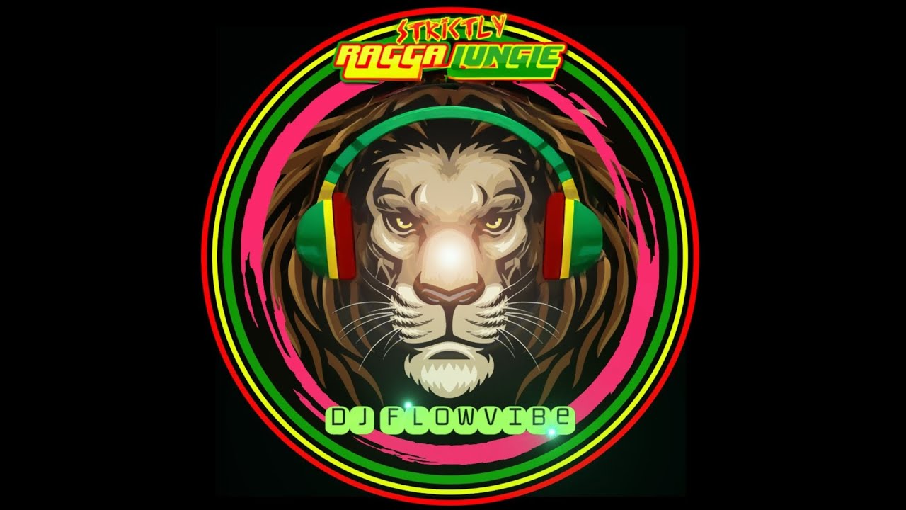 DJ FlowVibe - Strictly Ragga Jungle Radio - Live Stream  Nov 9/2024