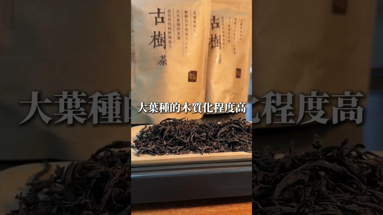 北越稀有的古樹茶，百年時間的積累才有這一泡完美陳化的茶！放置十年味道轉化層次更高，獨家古樹茶只在茶好玩！