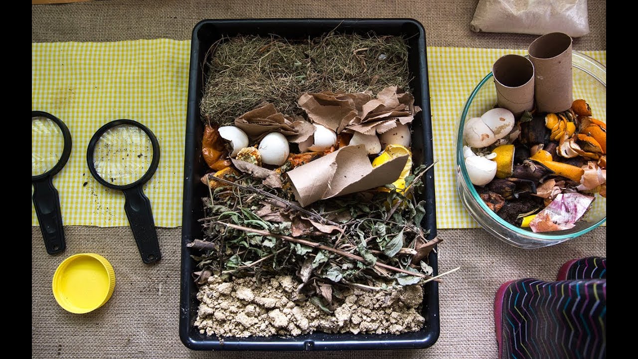 Puerto Rico&rsquo;s push for food independence