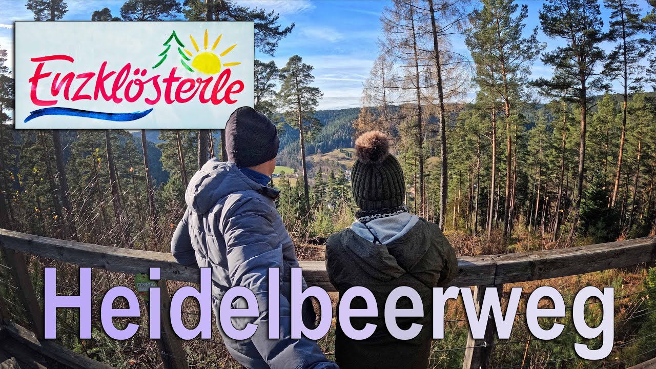 Черничная тропа близ Энцклёстерле в Северном Шварцвальде