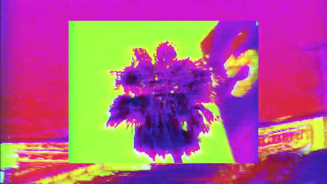 CASTLEBEAT - Into (Official Video)