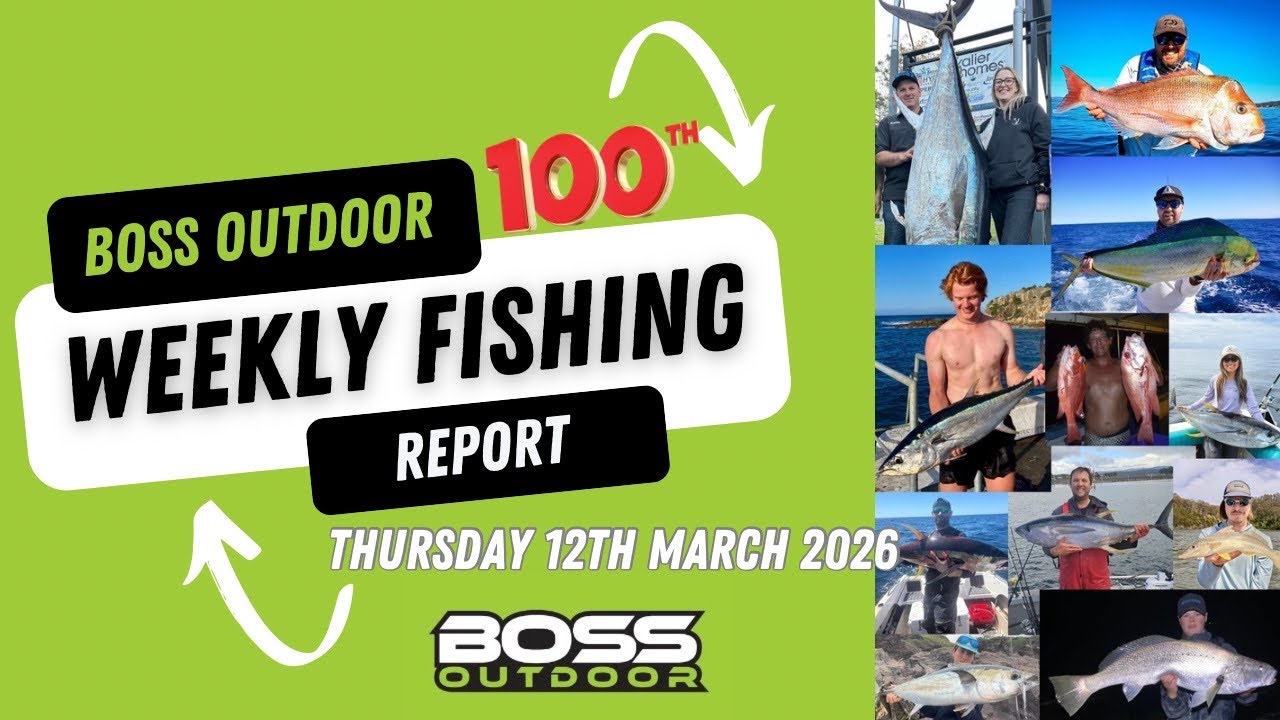 @bossoutdoor Merimbula’s 100th Fishing Report Thursday 12th March 2026