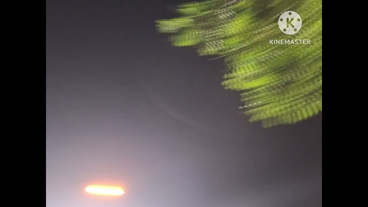 新年放烟花（威扬娱乐版）