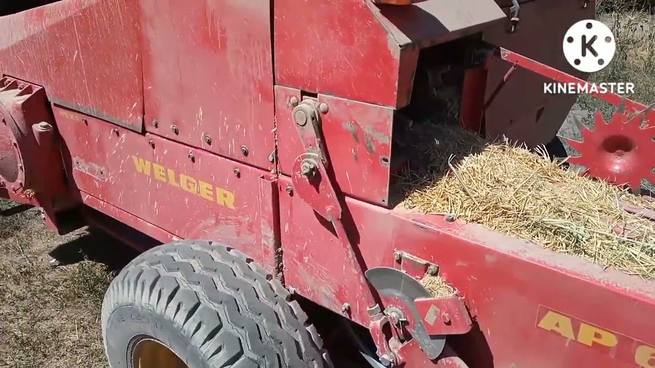 Пресс Welger и Sipma Z224/1 по соломе сравнение что лучше