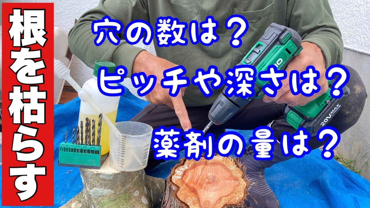 【根を枯らす】やり方が完全に解る【植木屋ケンチャンネル】