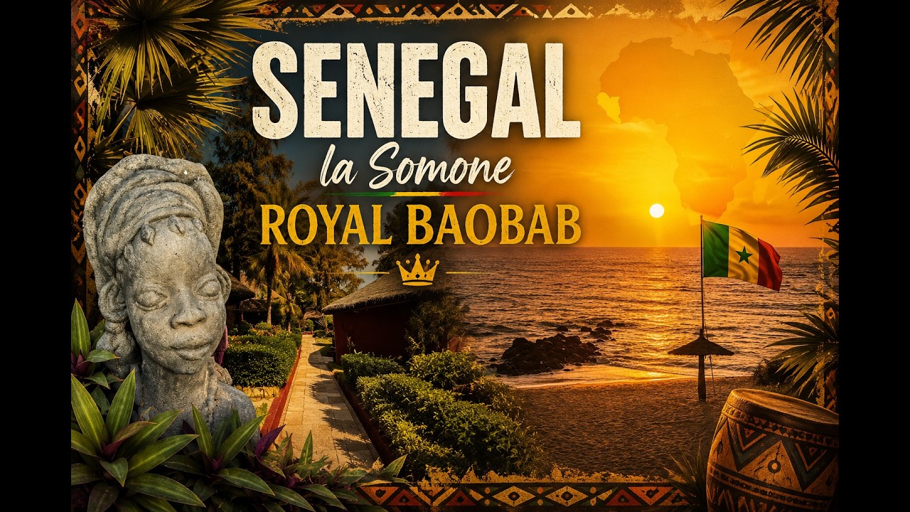 Sénégal horizon baobab la somone