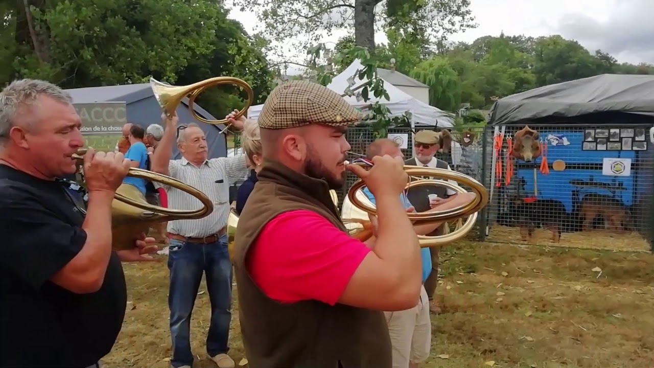 Nationale Wachtelhund 2019