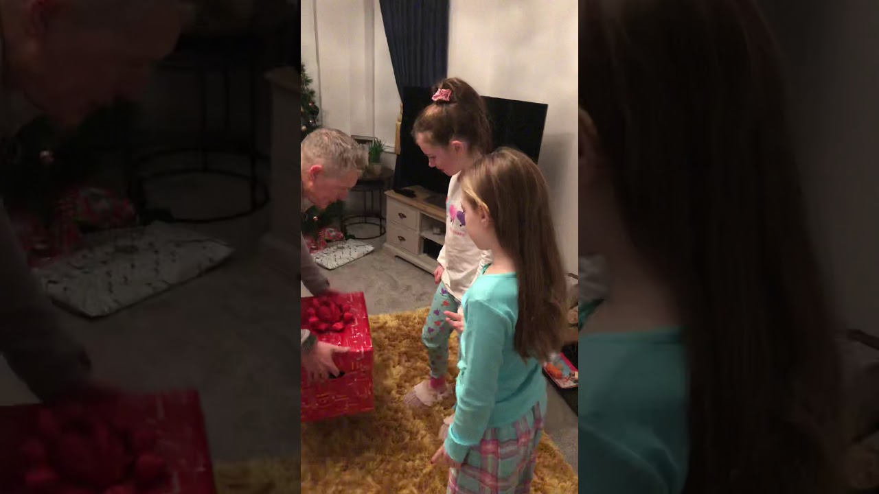 Puppy surprise for Christmas!! Plenty of tears.