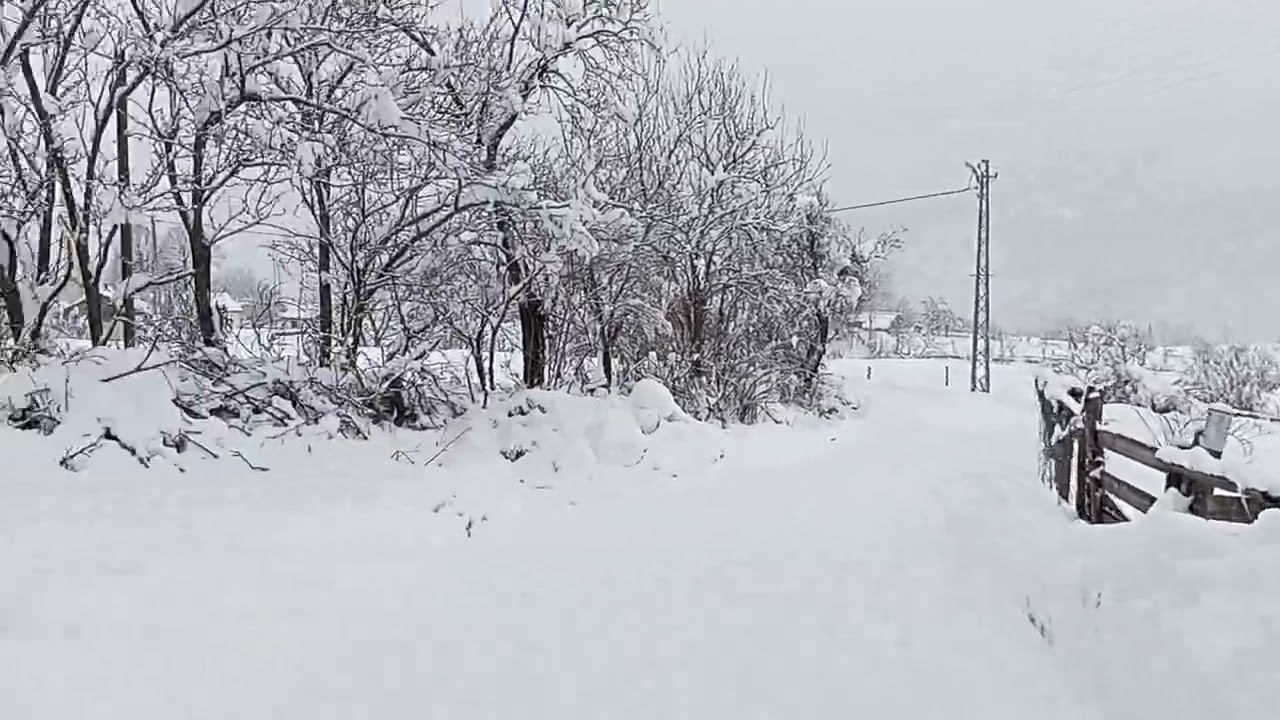 TOSUNLU KÖYÜ ARDANUÇ 