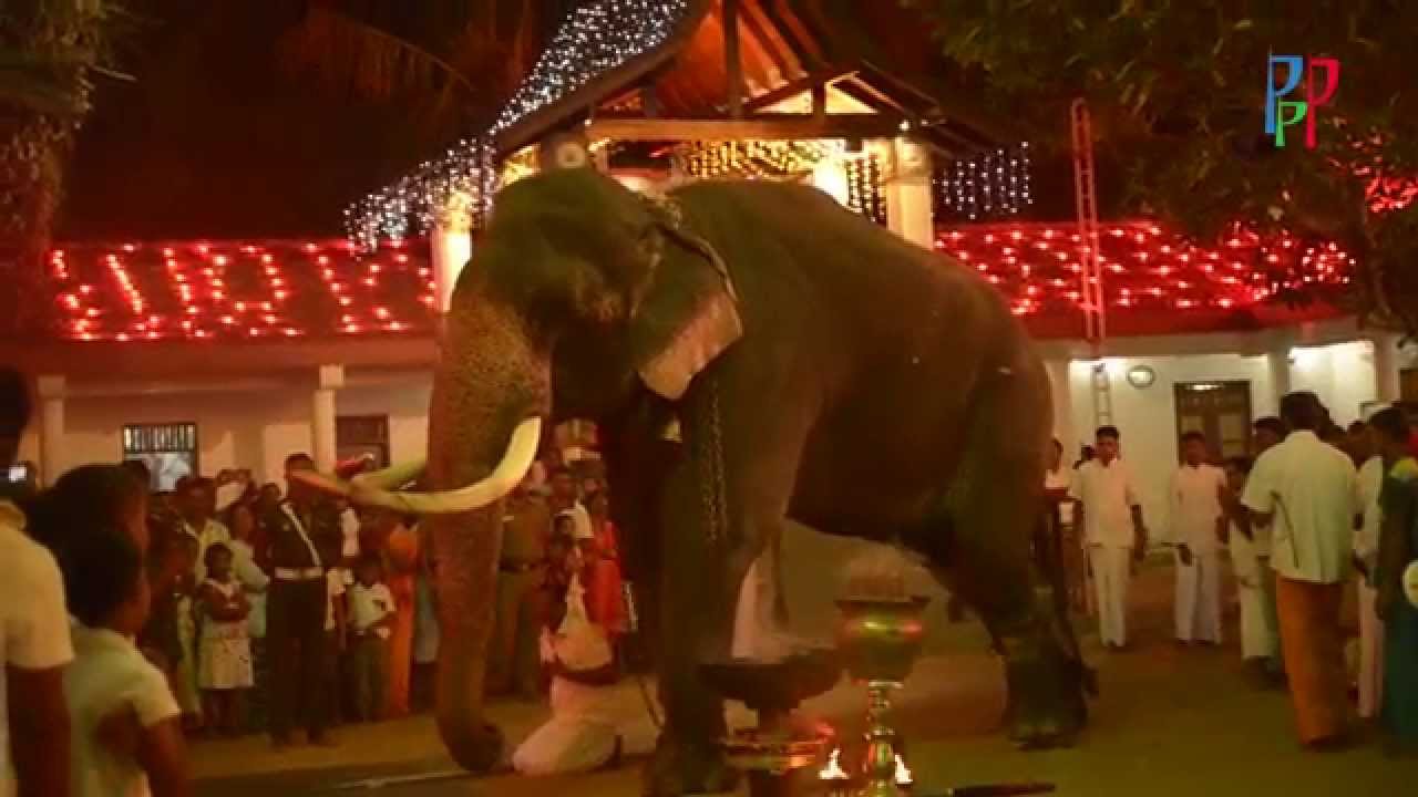 Katharagama Kovil (devalaya) 2004 Annual Festival -Magul Perahara