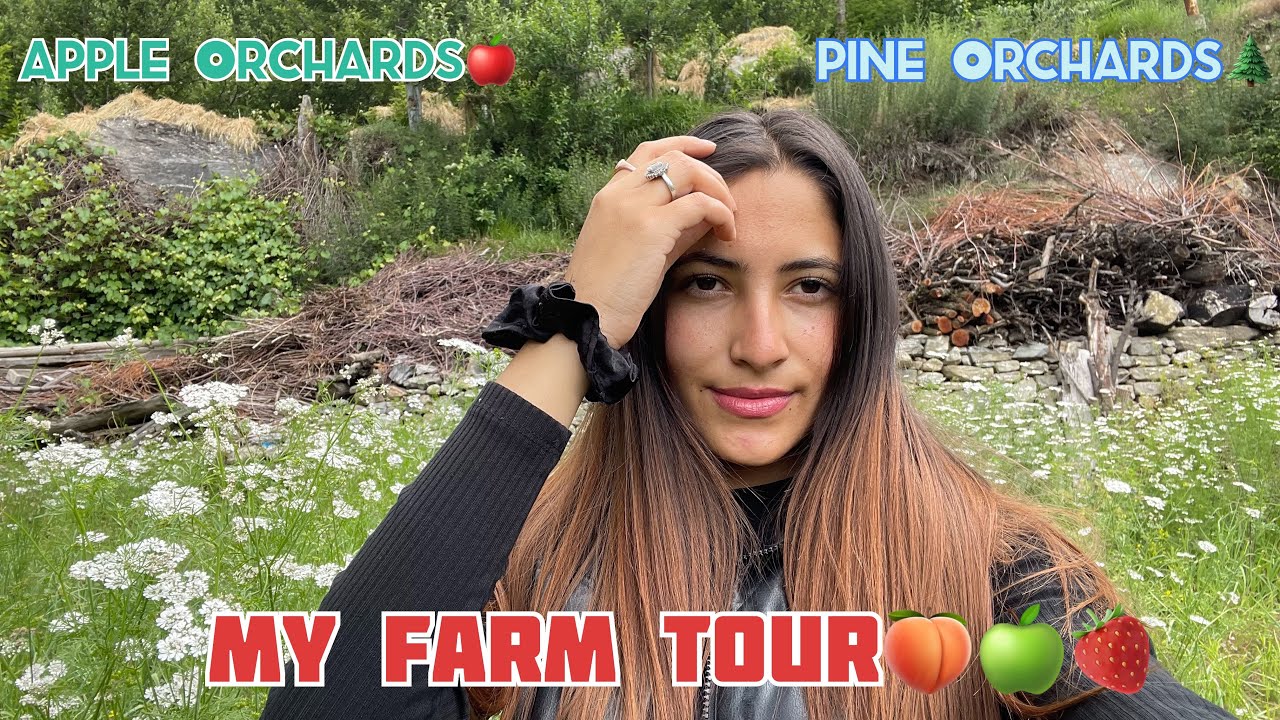 My Farm Tour🍏🍑 | Apple Orchards Tour🍎 | Pine Orchards Tour🌲| Kinnaur (HP) | #farm #tour #vlogs