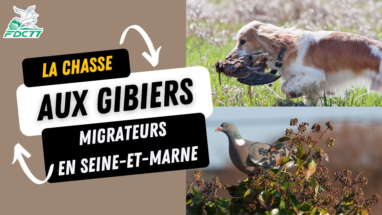 La Chasse aux gibiers migrateurs
