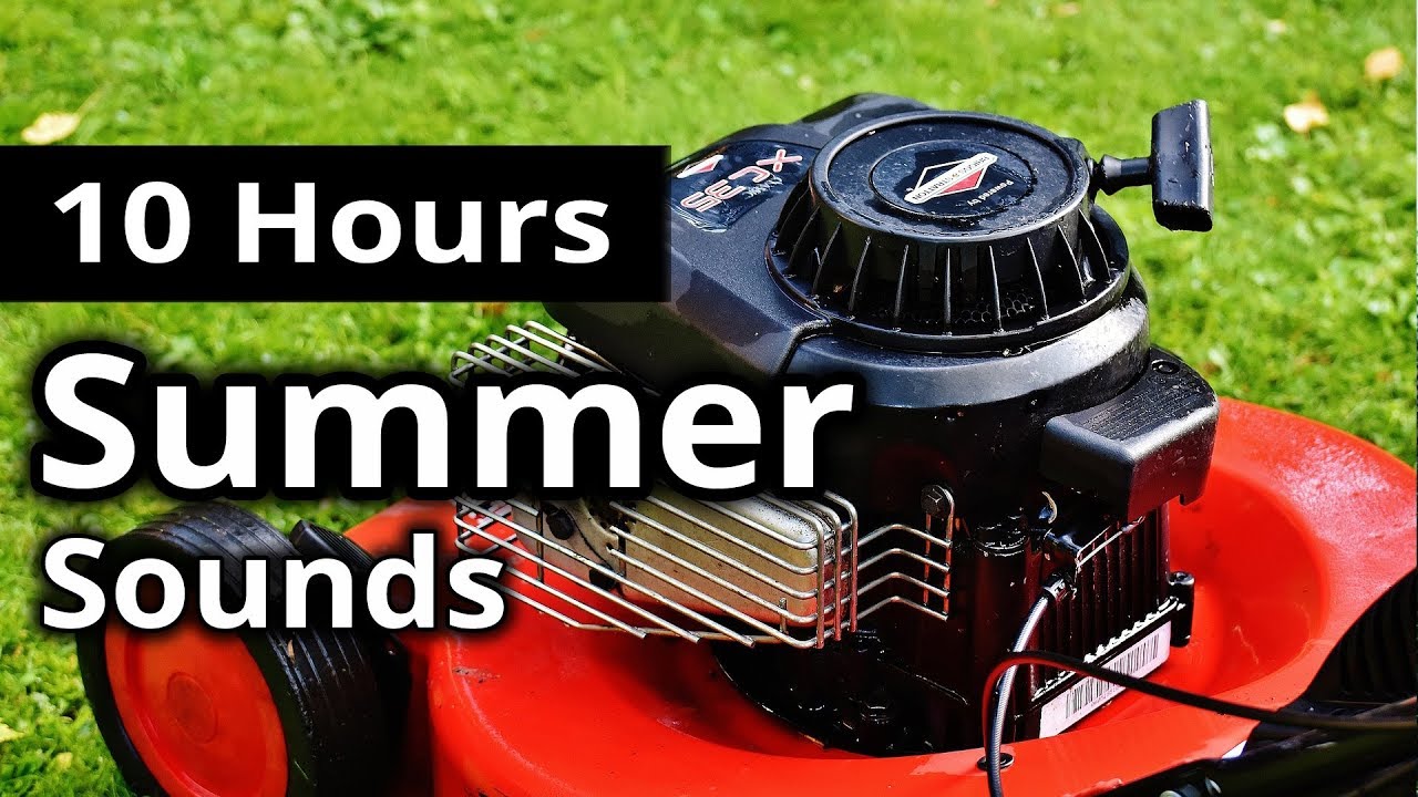 Sounds of SUMMER ★ 10 Hours AMBIENCE for Relaxing, Sleep, Meditation and CREATIVITY