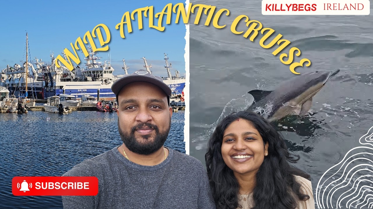 Wild Atlantic Cruise in Ireland | Dolphins, Giant Cliffs | The Sindhujans
