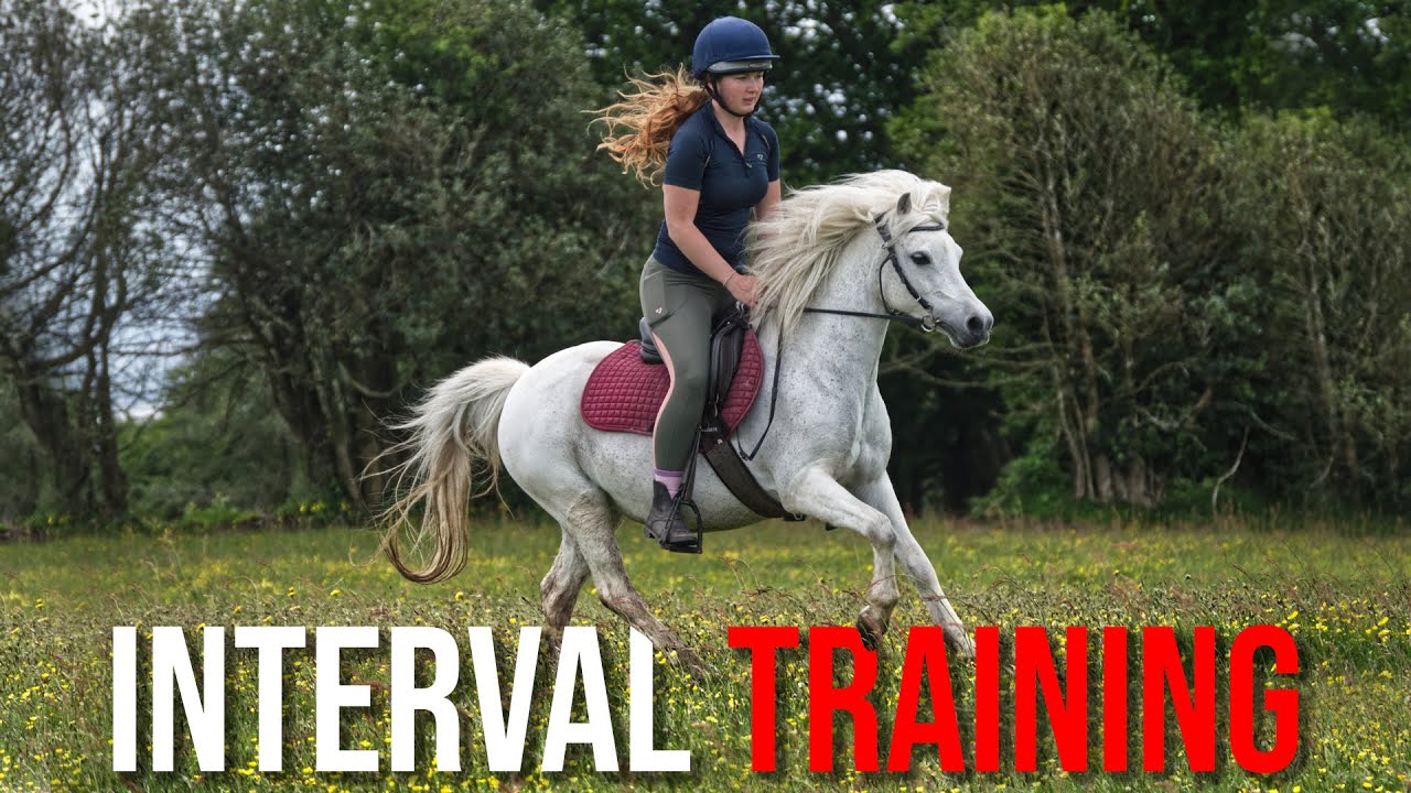 Training My Endurance Pony || Interval Training with Dusty || Schooling Uncut Episode 2