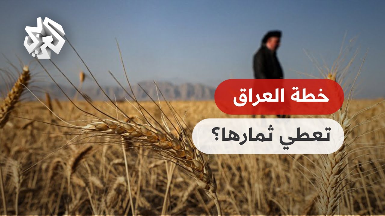 موسم حصاد القمح.. هل ينجح العراق في تحقيق الاكتفاء الذاتي؟