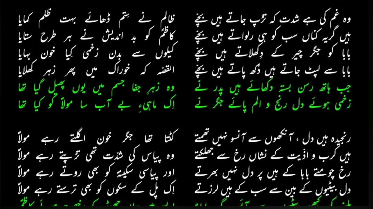 Noha marsiya | marsiya shahadat imam musa kazim 2026 | 25 rajab new marsiya 2026 | trending | viral