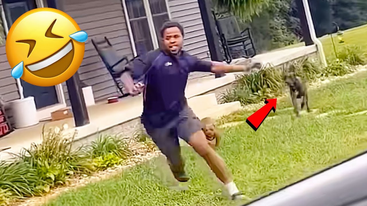 Intenta No Reírte 🤣 100 Videos Súper Graciosos 🔥 Memes, Fails Épicos y Momentos Divertidos 2026 😂