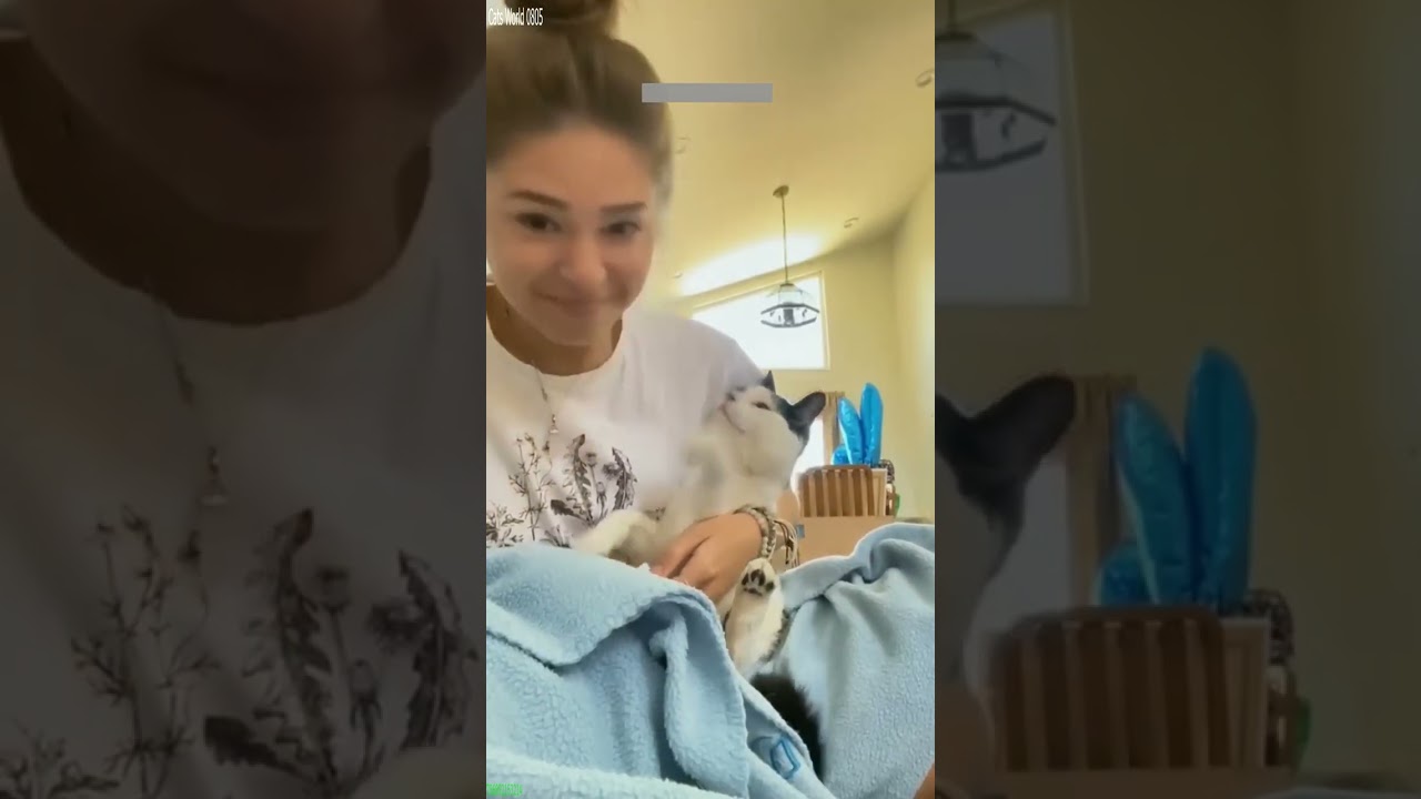 Funny Cats 2025 🐈‍⬛ Will Cheer you Up 🐕 # Episode 1257