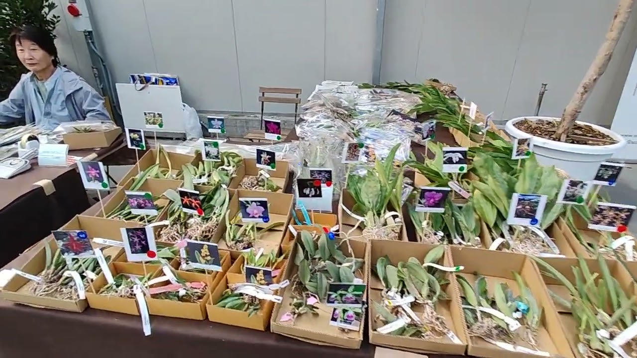 un giro alla mostra ORCHIDEA al Mati center di Pistoia