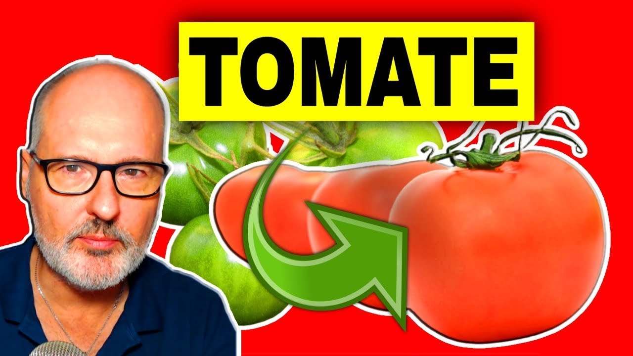 5 BENEFICIOS del TOMATE 🍅 (y sus RIESGOS)