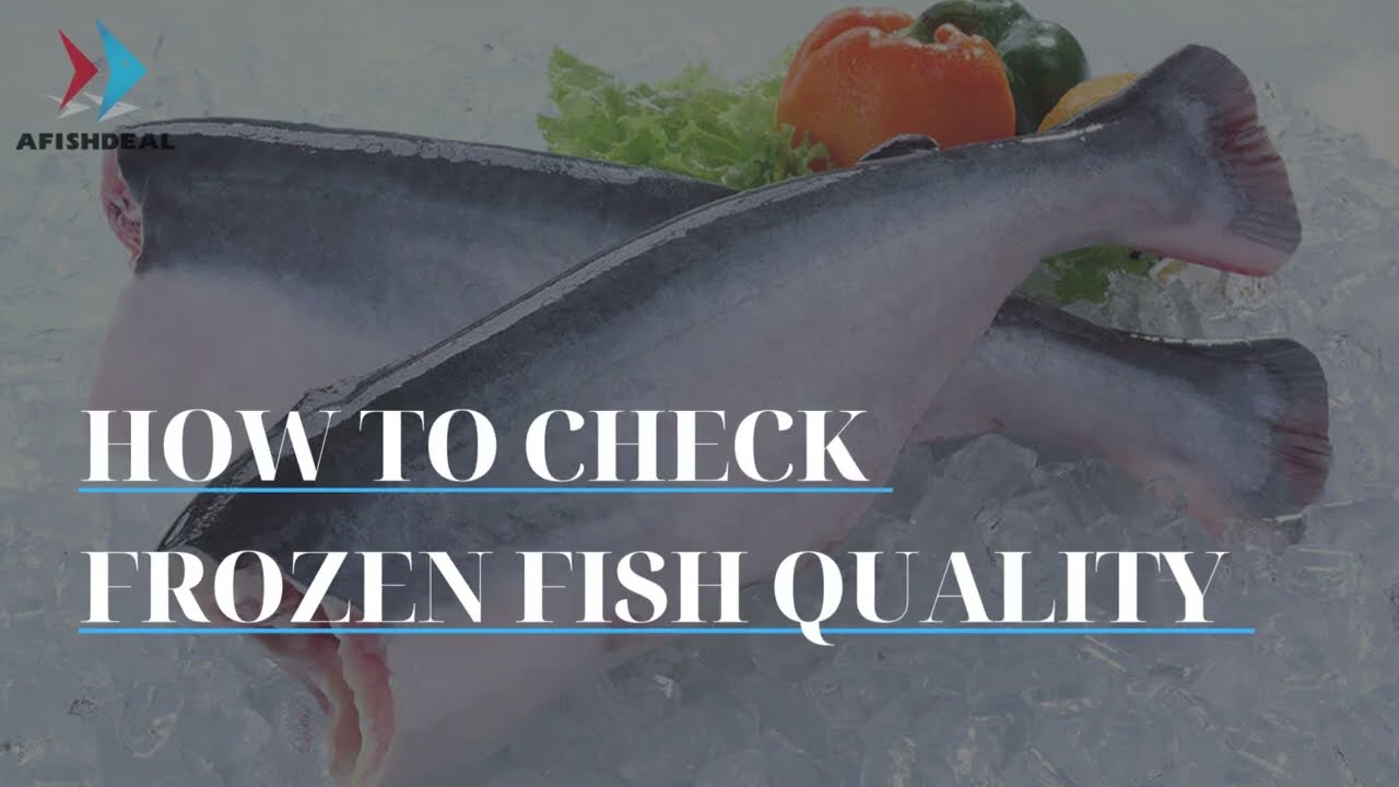 AFISHDEAL - HOW TO CHECK FROZEN FISH QUALITY