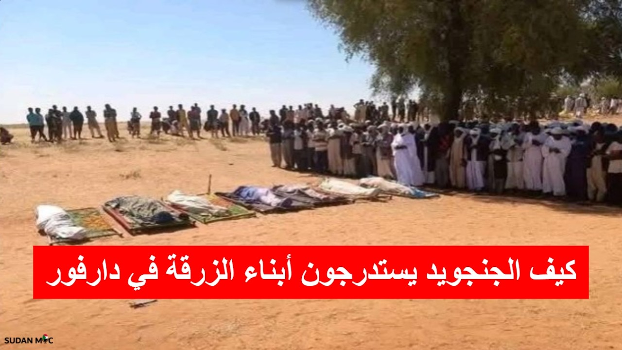 كيف الجنجويد يستدرجون أبناء الزرقة في دارفور