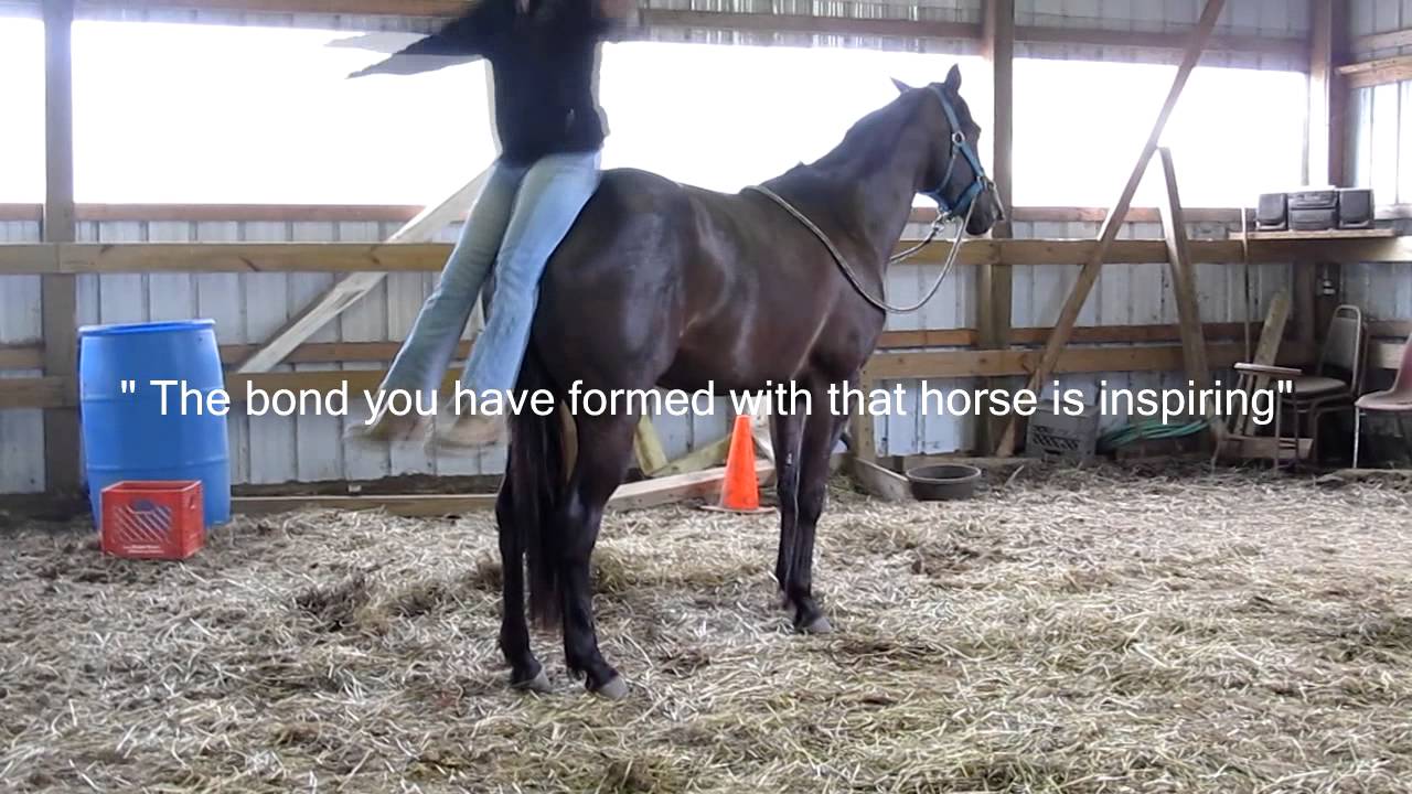 This Horse Saved My Life (4 years with Belle)