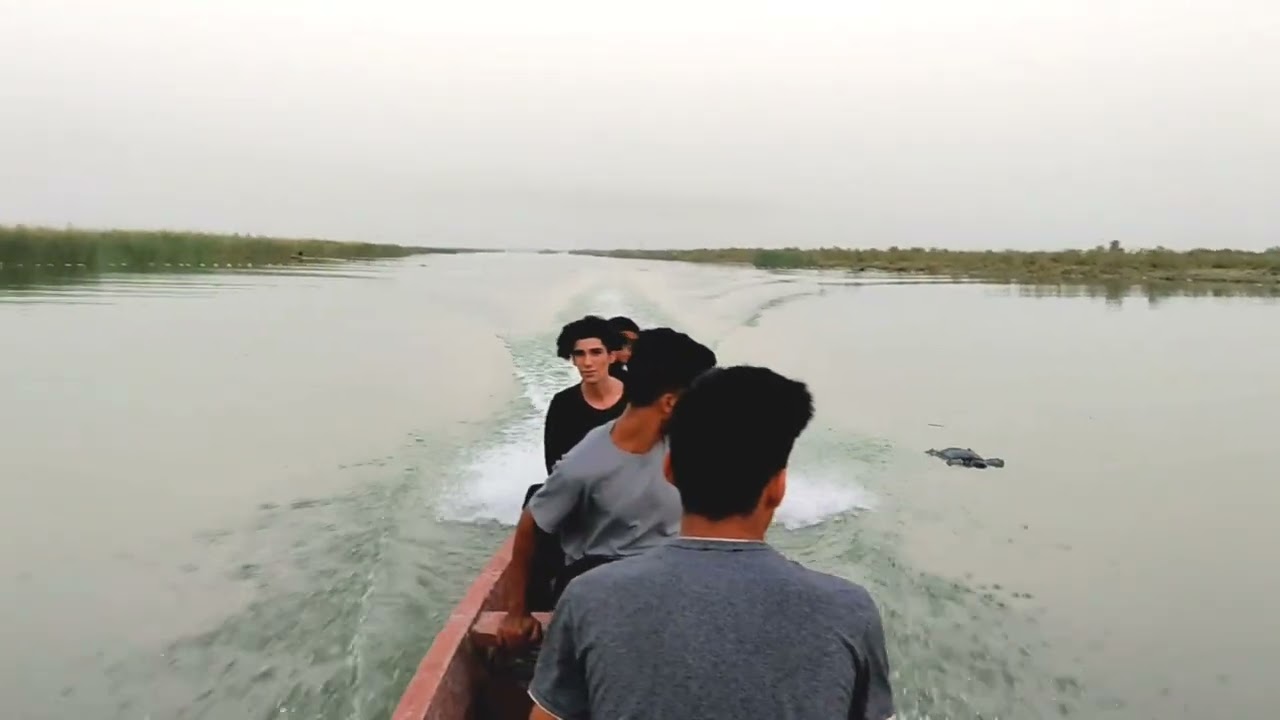 هوار المنار الحمار