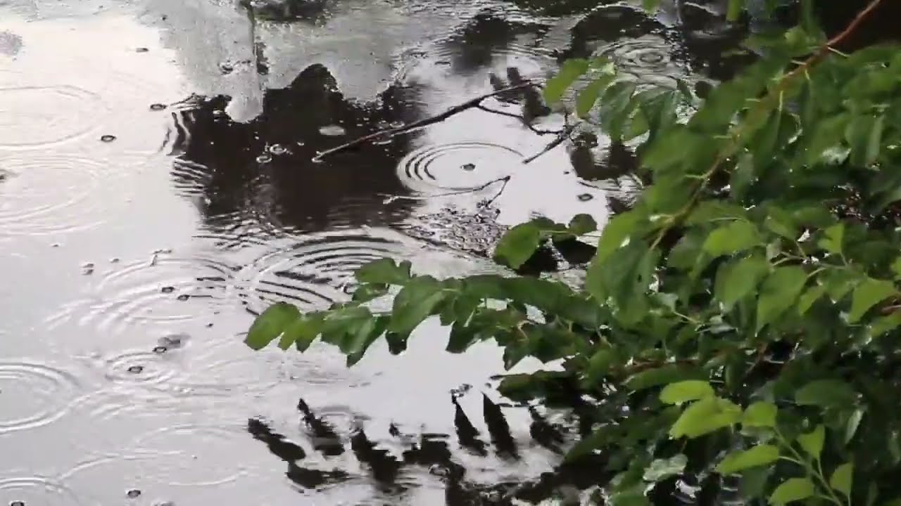 Heavy Rain and Lightning on a Beautiful Dusk | Terrible Thunderstorms in Rural Indonesia