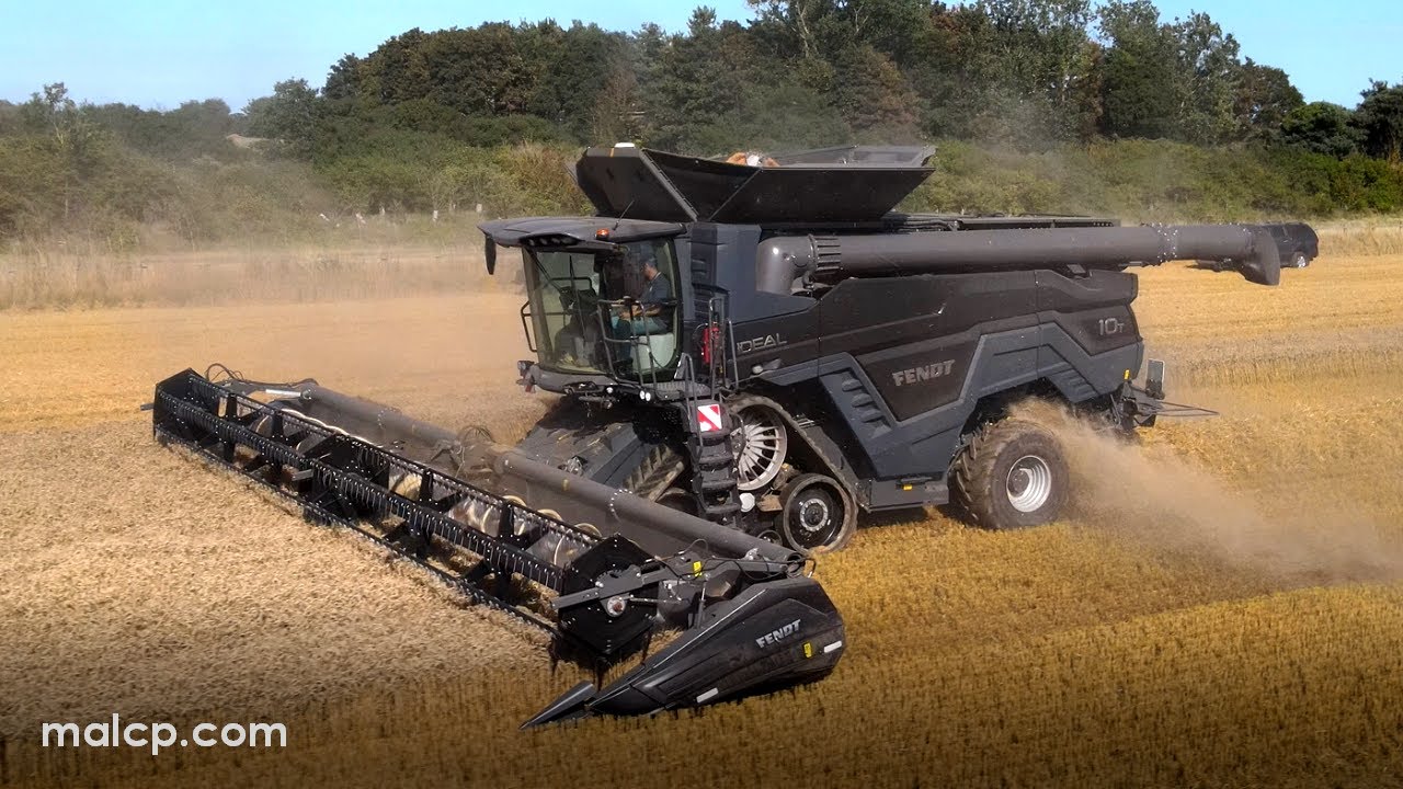 4Kᵁᴴᴰ Harvest 2023: Fendt IDEAL 10T combine cutting wheat in Suffolk.