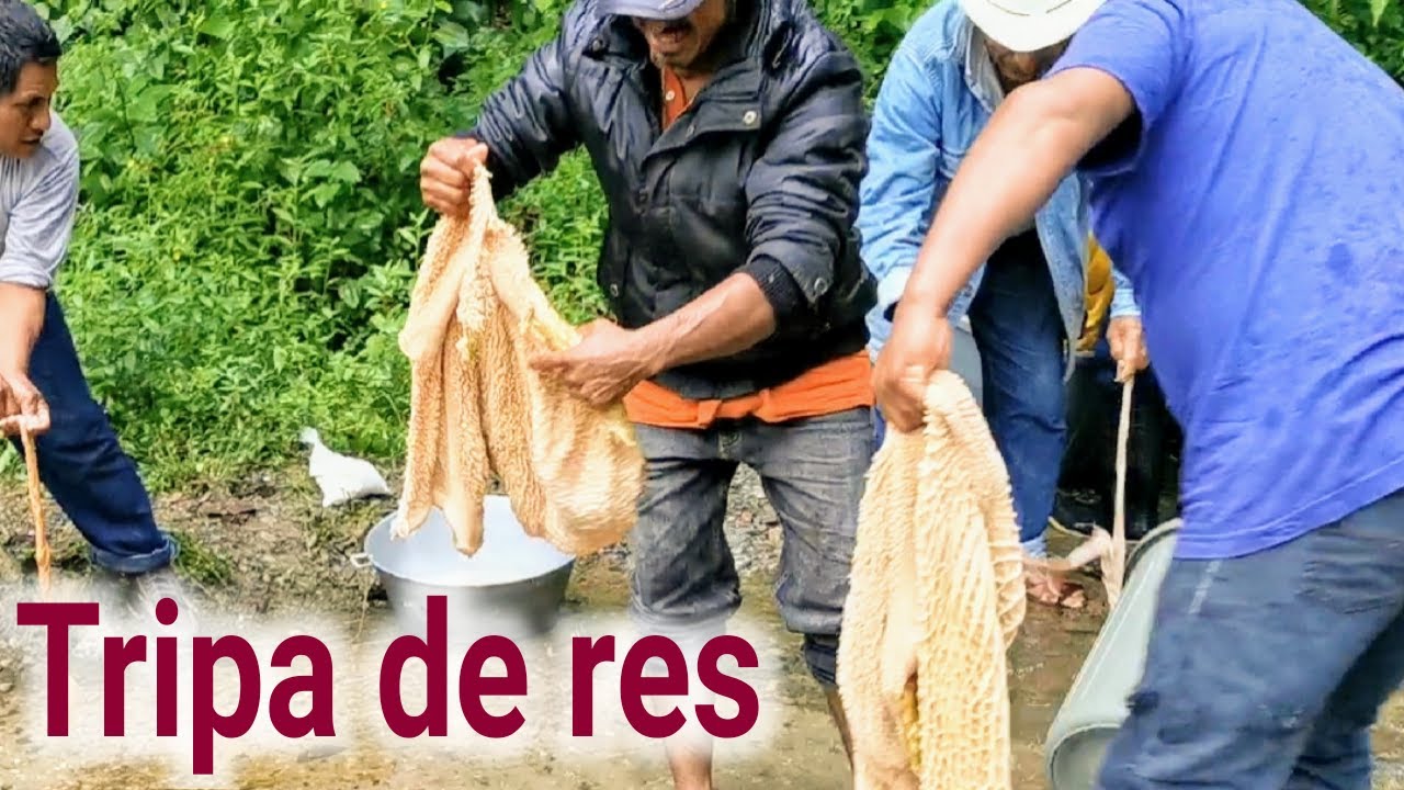 COMO SE LAVA LA TRIPA DE RES EN LA SIERRA JUAREZ OAXACA MEXICO