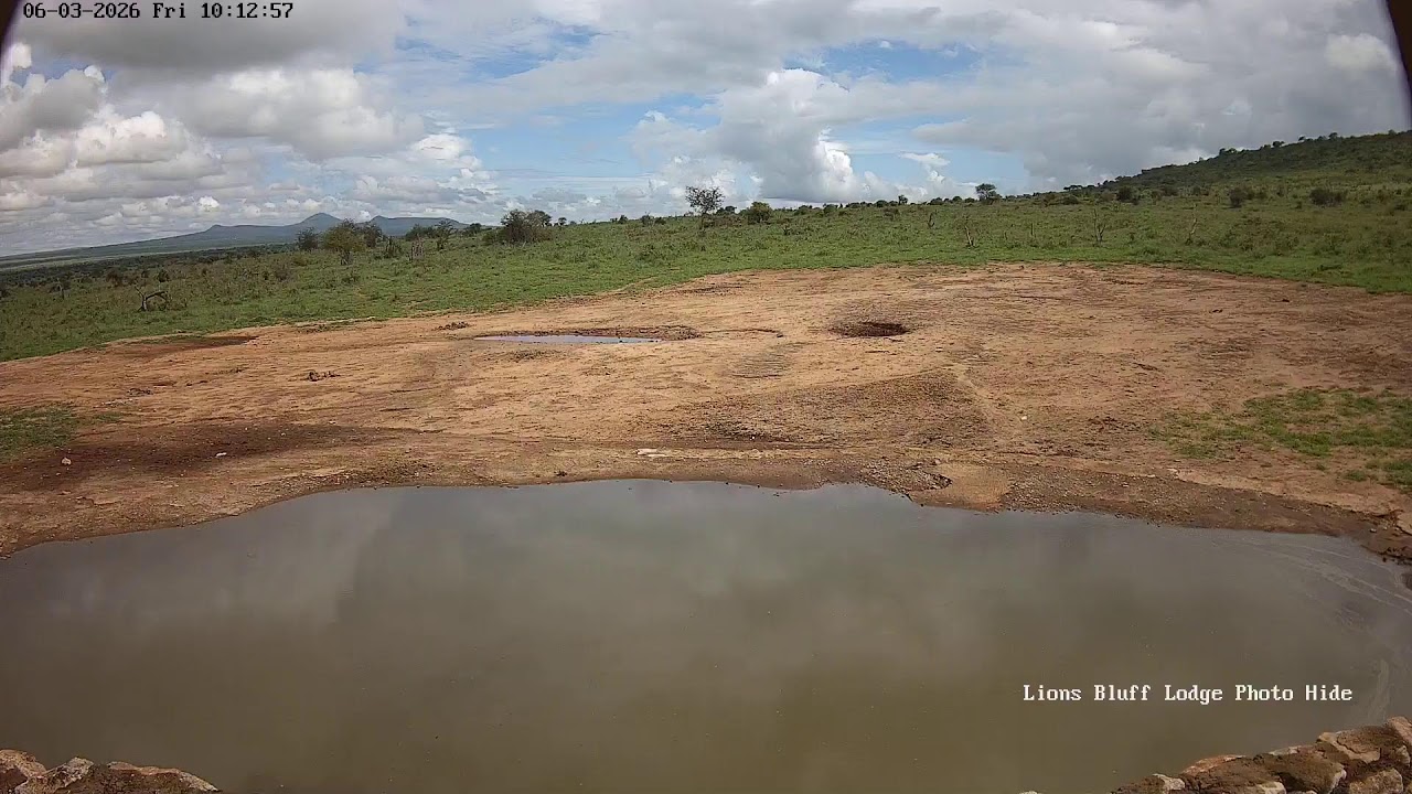 Lions Bluff Lodge Photo Hide - Live Stream