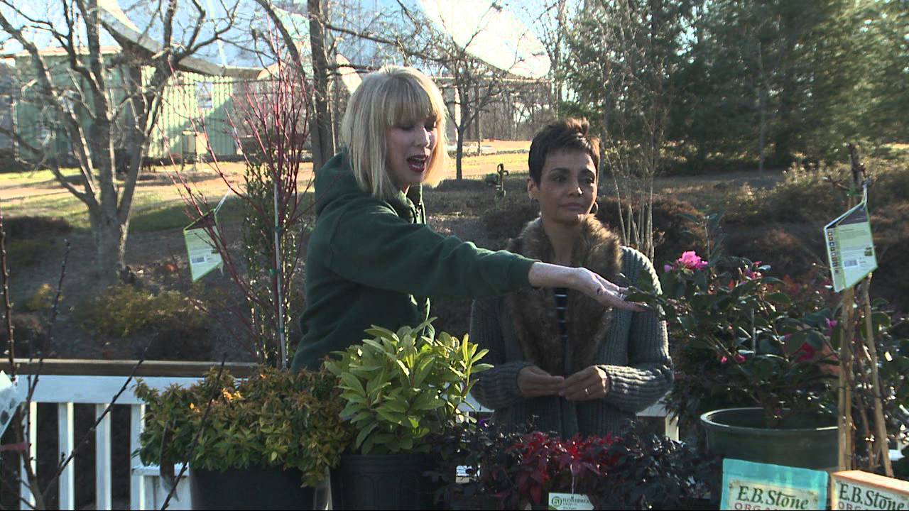 Why late Winter and early Spring is a great time to plant.