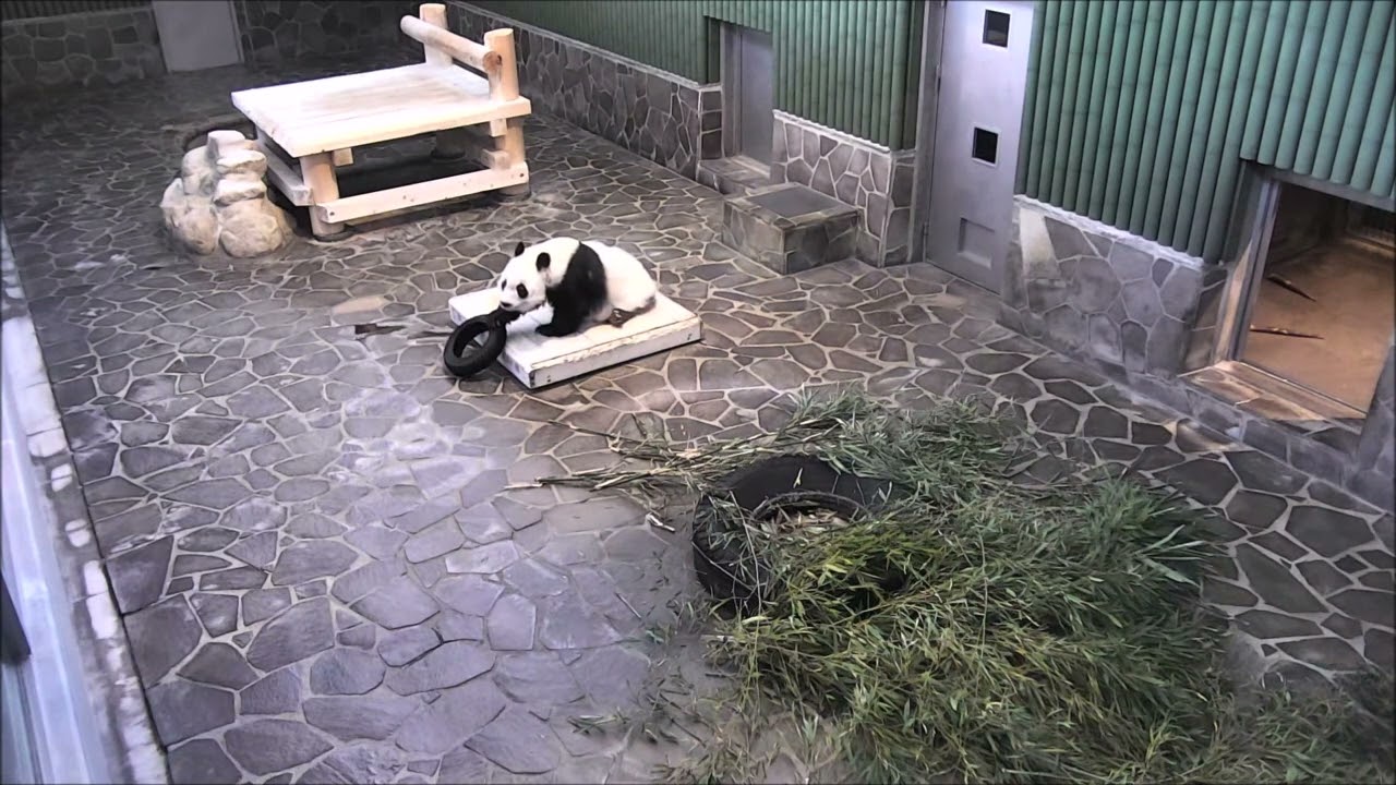 早朝5時からのタイヤ遊び