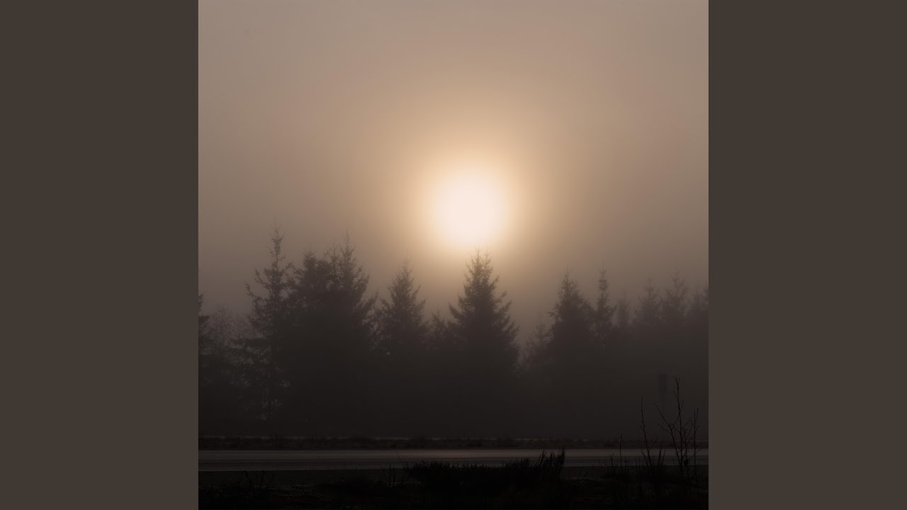 The Fog